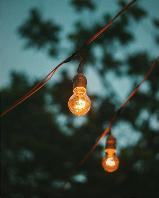 Garden Lights: Are They Environmentally Friendly and Cost-Effective